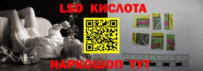 ГАЛЛЮЦИНОГЕННЫЕ ГРИБЫ Свободный